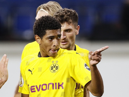 职业生涯 职业生涯